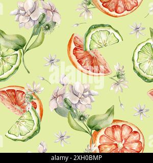 Halb Bergamotte und orangefarbenes Aquarellmuster isoliert. Zitrusscheiben und Jasminpflanzen. Handgezeichnete verschiedene Früchte und Blumen in botanischer Form Stockfoto
