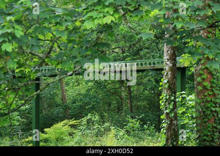 Beaulieu, Brockenhurst, England. 30. Juni 2024. National Motor Museum, Beaulieu. Die Einschienenbahn führt über und zwischen dicken Blättern und Laub. Stockfoto