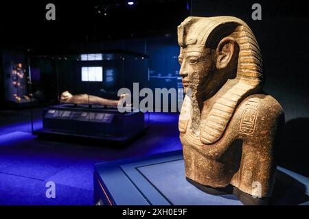 Köln, Deutschland. Juli 2024. Eine Statue des Pharaos Merenptah steht auf einem Sockel im Odysseum. Die Ausstellung „Ramses & das Gold der Pharaonen“ ist ab 13. Juni 2024 in Köln zu sehen. Das Herzstück ist der echte Sarkophag von Ramses II. Alle Objekte stammen aus Museen und historischen Stätten in Ägypten. Quelle: Oliver Berg/dpa/Alamy Live News Stockfoto