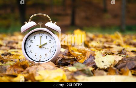 Wecker mit Herbstlaub, Ende der Sommerzeit im Herbst, Umstellung auf Winterzeit Stockfoto