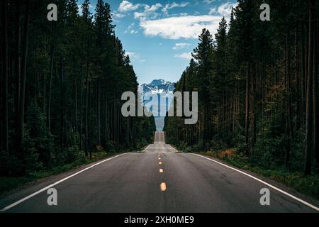 Eine asphaltierte Straße durch dichten Wald mit Bergen im Hintergrund im Grand Teton National Park, Wyoming, USA Stockfoto