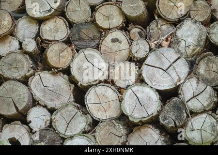 Holzpfahl, Brennholz, Holzstock, Hintergrund, Textur, Deutschland Stockfoto