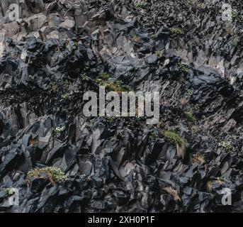 Nahaufnahme von Basaltfelsen am Strand Reynisfjara an der Südküste Islands. Stockfoto