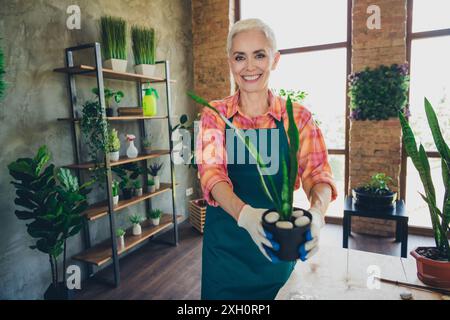 Foto-Porträt der hübschen Senior weiblichen professionellen Florist halten Zimmerpflanze Lieferung Auftrag vorbereiten Tragen Schürze arbeiten Blumengeschäft Lieferung Stockfoto