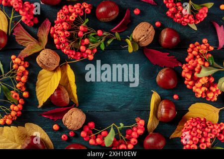 Herbsthintergrund mit Kastanien und Herbstblättern, aufgenommen von oben mit einem Platz für Text auf blauem Hintergrund Stockfoto