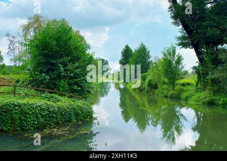 Kleiner Spreewald im Sommer, kleiner Spreewald im Sommer, Brandenburg Stockfoto