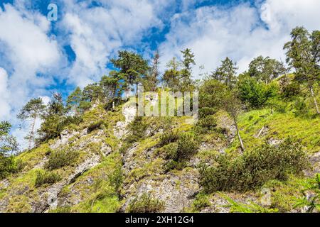 Berghang an der Almbachklamm im Berchtesgadener Land Stockfoto