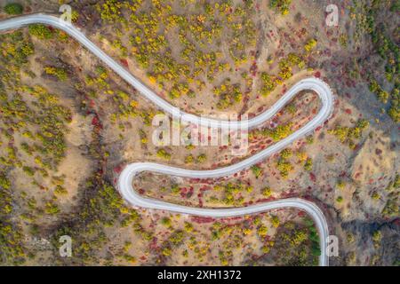 Serpentinenstraße im Herbst. Gelbe und rote Bäume. Vertikale Draufsicht der Antenne. Stockfoto