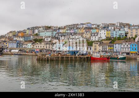 Brixham Harbour in Devon Südwesten Englands mit farbenfrohen bemalten Häusern mit Blick auf das Meer, ein beliebtes Sommerziel für Urlaub und Urlaub Stockfoto
