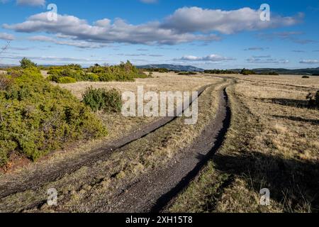 Jagdgebiet Sonsaz, Cantalojas, Guadalajara, Spanien Stockfoto