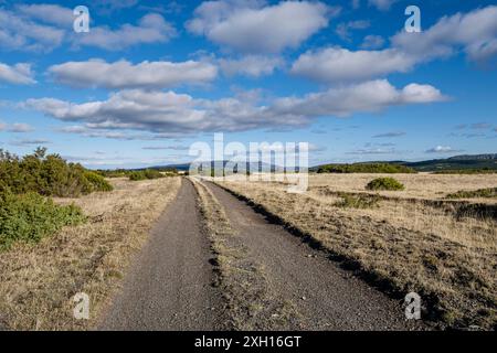 Jagdgebiet Sonsaz, Cantalojas, Guadalajara, Spanien Stockfoto