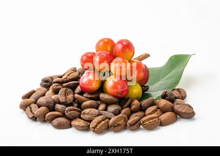 Ein Haufen Kaffeebohnen mit Blatt und einem Haufen Kaffeebohnen auf weißem Hintergrund mit Schneidepfad. Die Samen von Kaffeebohnen genannt. Stockfoto