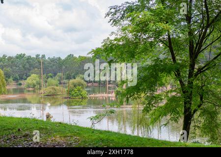 See in natürlicher Landschaft, umgeben von Bäumen unter bewölktem Himmel Stockfoto