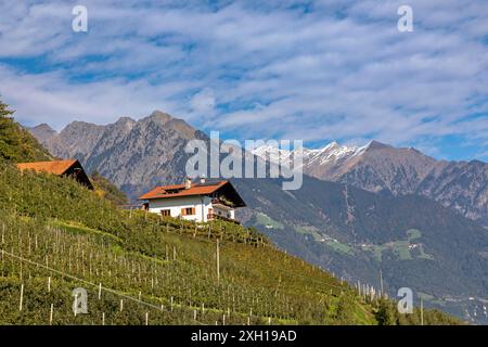 Am Marlinger Waalweg über Meran, Südtirol Stockfoto