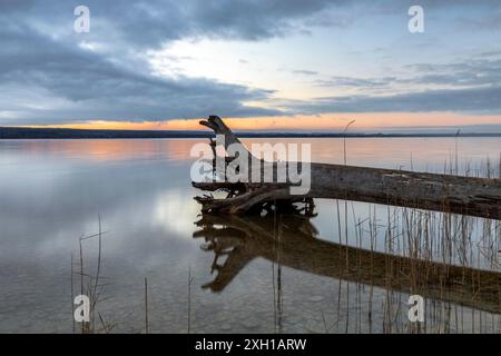 Bewölkter Nachmittag am Ammersee in Bayern im Winter Stockfoto