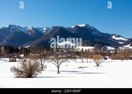 Bäume im verschneiten Ruhpolding vor einem Bergpanorama Stockfoto