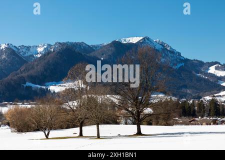 Bäume im verschneiten Ruhpolding vor einem Bergpanorama Stockfoto
