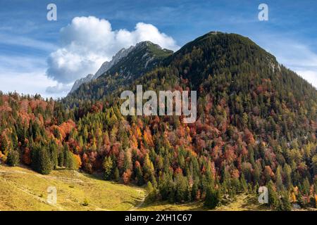 Blick auf den Wilden Kaiser von Kreuzbichl bei Scheffau, Tirol, Österreich Stockfoto