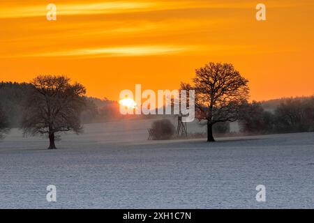Sonnenaufgang auf einem Feld in Bayern im Winter Stockfoto
