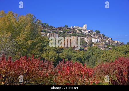 Frankreich, Vaucluse (84), Lacoste, Dorf des regionalen Naturparks Luberon, Obstgarten im Herbst Stockfoto