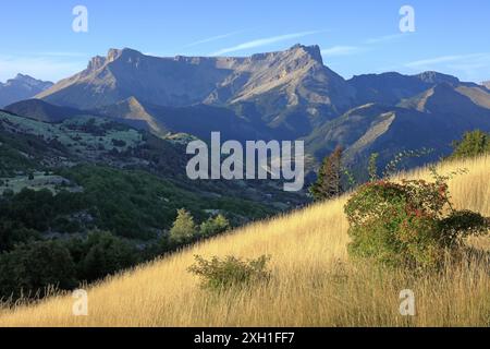 Frankreich, Hautes-Alpes, Manteyer, Blick auf das Dévoluy-Massiv vom Céüse-Massiv Stockfoto