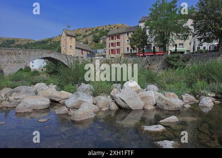 Frankreich, Lozère, Le Pont-de-Montvert, der Glockenturm und die Brücke über den Fluss Tarn Stockfoto