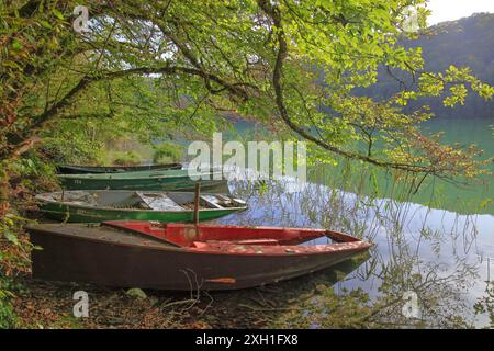 Frankreich, Jura, Clairvaux-les-Lacs, Landschaft, Seenandschaft, Fischerboote, die unter einem Baum vertäut sind Stockfoto