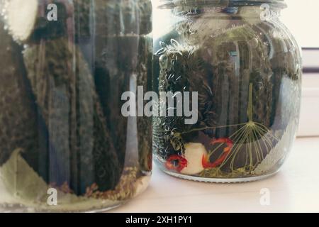 Glas mit konservierten Gurken. Glas mit grün eingelegten Gurken mit Dill und Kräutern. Gemüse in Marinat. Rezept von Einmachgurken. Stockfoto