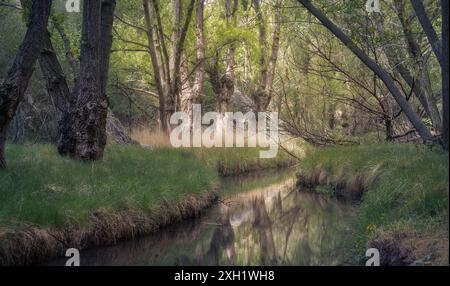 Ruhiger Blick auf den Aliaga-Flussweg in Teruel, Spanien, umgeben von üppigem Grün und ruhiger Natur. Ideal für Natur- und Reisekonzepte. Stockfoto