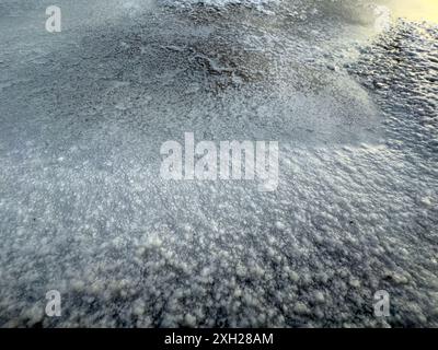 Detailansicht eines vereisten Bodens mit Frostkristallen im Winter. Die Morgensonne hebt die Textur hervor und schafft eine kalte und ruhige Atmosphäre. Stockfoto