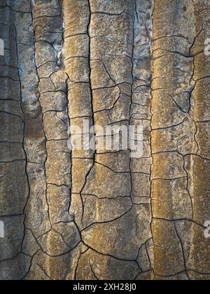 Detaillierte Nahaufnahme, die die zerrissene und trockene Textur der Erde zeigt, die von Sonnenlicht beleuchtet wird und Themen der trockenen Umgebung und der Muster der Natur aufruft. Stockfoto