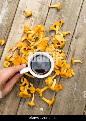 Hand hält eine weiße Tasse Kaffee, Tee um viele Waldpilze auf dem Hintergrund von altem Holz Stockfoto