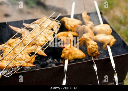 Verwischtes köstliches Hühnerflügel-Barbecue auf heißem Grill. Hähnchenschenkel und Flügel werden auf Kohlen in einem Brazier auf einem Grill gebraten. Stockfoto