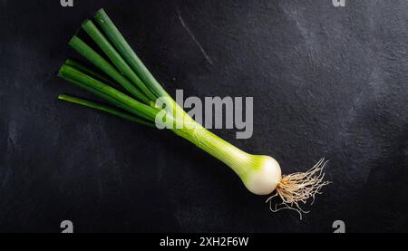 Gemüse, Frühlingszwiebel oder Lauchzwiebel, auch Winterzwiebel, Allium fistulosum Stockfoto