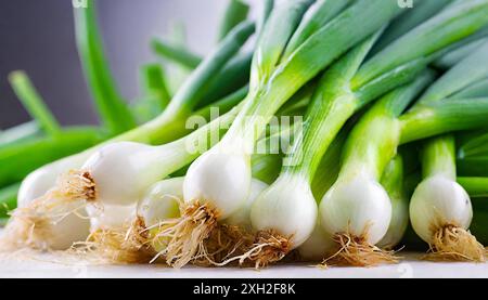 Gemüse, Frühlingszwiebel oder Lauchzwiebel, auch Winterzwiebel, Allium fistulosum Stockfoto