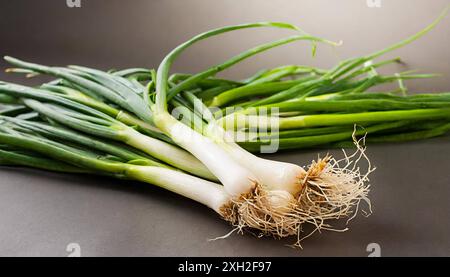 Gemüse, Frühlingszwiebel oder Lauchzwiebel, auch Winterzwiebel, Allium fistulosum Stockfoto