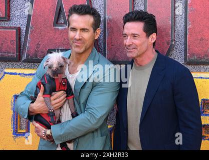 London, Großbritannien. Juli 2024. Hugh Jackman, Ryan Reynolds und Peggy aka Dogpool kommen beim Deadpool & Wolverine UK Sneak Peek Event, Hammersmith Eventim Apollo an. Quelle: Doug Peters/EMPICS/Alamy Live News Stockfoto