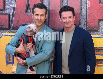 London, Großbritannien. Juli 2024. Hugh Jackman, Ryan Reynolds und Peggy aka Dogpool kommen beim Deadpool & Wolverine UK Sneak Peek Event, Hammersmith Eventim Apollo an. Quelle: Doug Peters/EMPICS/Alamy Live News Stockfoto