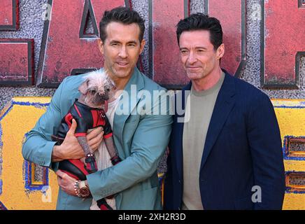 London, Großbritannien. Juli 2024. Hugh Jackman, Ryan Reynolds und Peggy aka Dogpool kommen beim Deadpool & Wolverine UK Sneak Peek Event, Hammersmith Eventim Apollo an. Quelle: Doug Peters/EMPICS/Alamy Live News Stockfoto