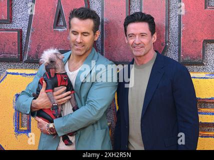 London, Großbritannien. Juli 2024. Hugh Jackman, Ryan Reynolds und Peggy aka Dogpool kommen beim Deadpool & Wolverine UK Sneak Peek Event, Hammersmith Eventim Apollo an. Quelle: Doug Peters/EMPICS/Alamy Live News Stockfoto