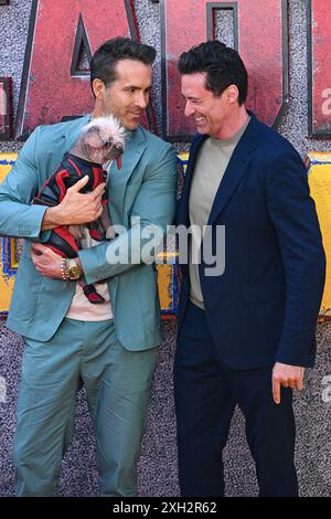 London, Großbritannien. Juli 2024. Hugh Jackman, Ryan Reynolds und Peggy aka Dogpool kommen beim Deadpool & Wolverine UK Sneak Peek Event, Hammersmith Eventim Apollo an. Quelle: Doug Peters/EMPICS/Alamy Live News Stockfoto