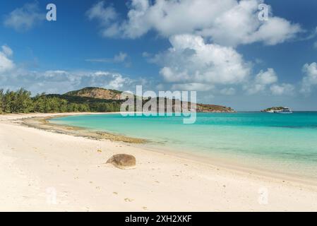 Malerischer tropischer Sandstrand Watsons Beach mit türkisfarbenem Wasser auf Lizard Island, Queensland, Australien. Es liegt am Great Barrier Reef. Stockfoto