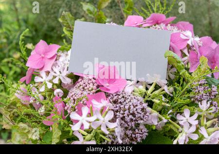 Sommerstrauß mit rosa Hortensien, soapwort, Oregano und Karte mit Kopierraum Stockfoto