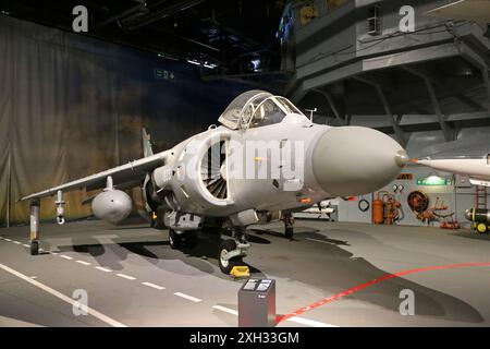BAE Sea Harrier FA2, Halle 3, Royal Navy Fleet Air Arm Museum, RNAS Yeovilton, Ilchester, Somerset, England, Großbritannien, Großbritannien, Europa Stockfoto