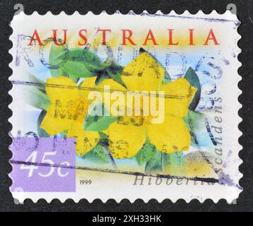 Gestempelte Briefmarke, gedruckt von Australien, die Guineablüte (Hibbertia scandens), Fauna and Flora - Coastal Environment, um 1999 zeigt. Stockfoto