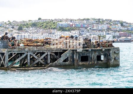 Alte und weggeworfene Booms, Fischernetze, Ketten, Bügel und Angelausrüstung auf einem stillgelegten Steg im Brixham Harbour Stockfoto