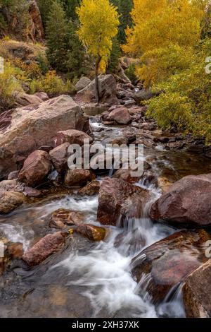 Herbst Mountain Creek - Vertikal - Ein vertikaler Blick auf einen Bergbach an einem sonnigen Herbstabend im Eldorado Canyon State Park, Colorado, USA. Stockfoto