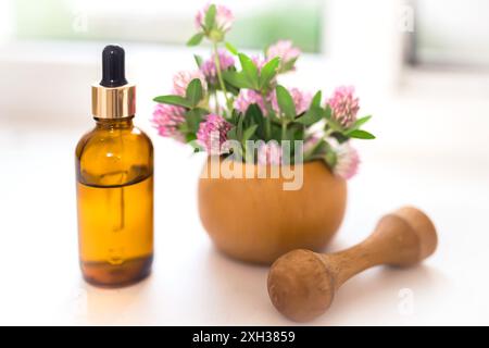 Eine Glasflasche ätherischen Öls mit Tropfer steht auf einer weißen Oberfläche neben einem Holzmörtel mit frischen Rotkleeblumen. Die Flasche ist Amber-Co Stockfoto