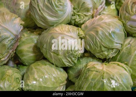 Köpfe von Jungkohl Nahaufnahme Hintergrund. Stockfoto