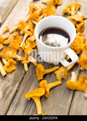 Eine weiße Tasse Kaffee und Tee umgeben von vielen Waldpilzen auf dem Hintergrund von altem Holz Stockfoto